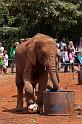 008 Kenia, Nairobi, Sheldrick Olifantenweeshuis